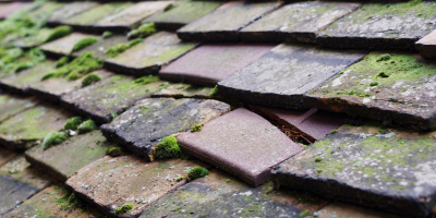 Roby roof repair costs